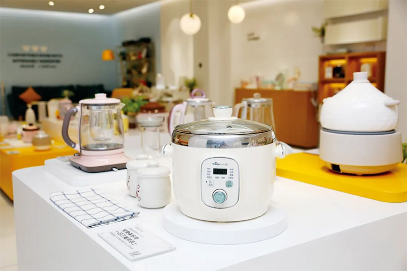 Is the future of small household appliances explosive or boutique?